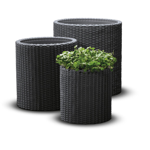 Blumentopf S+M+L CYLINDER graphit .