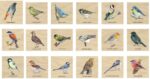 Affen Lerntafel Pexeso - Vögel 200 Affen Lerntafel Pexeso - Vögel 200 – Bild 3